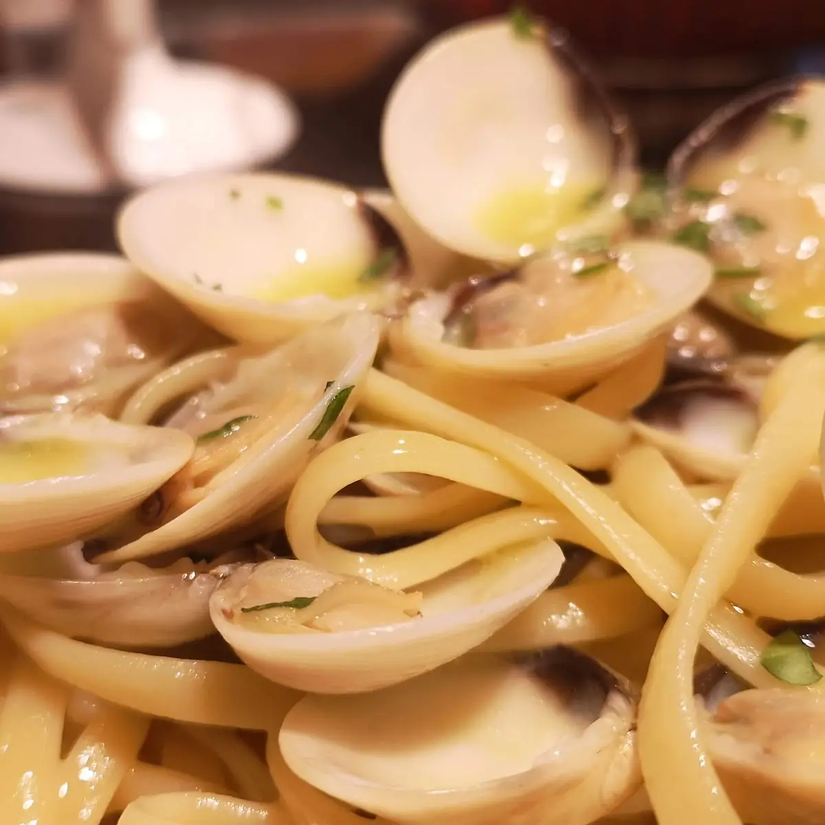 Spaghetti Vongole