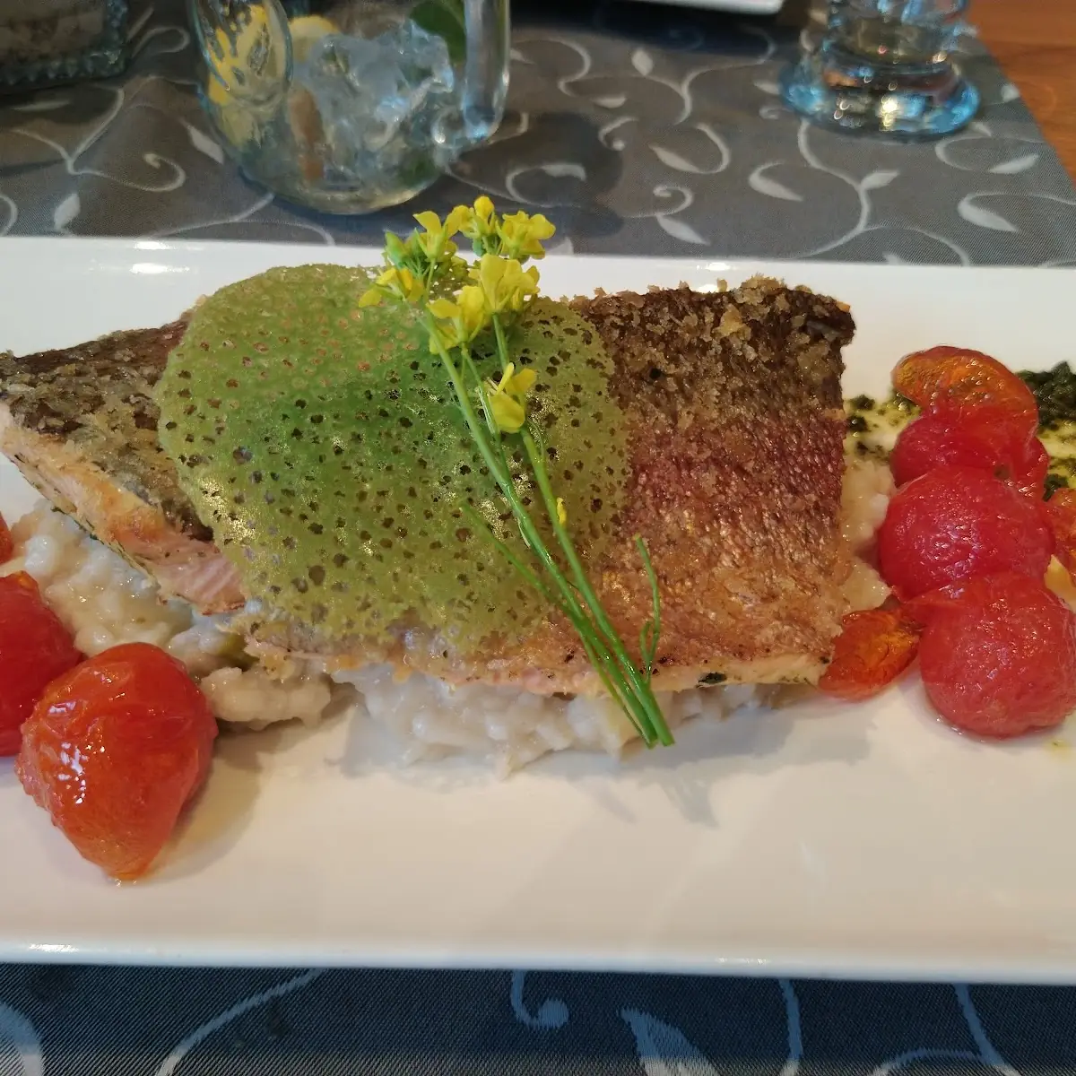 Lachsforelle