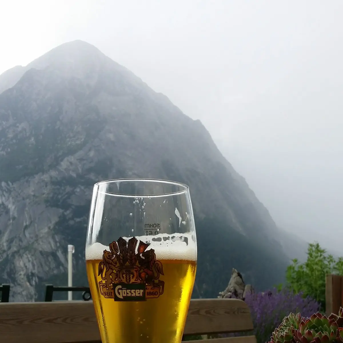 Bier, Aussichtsgasthof Dachsteinblick