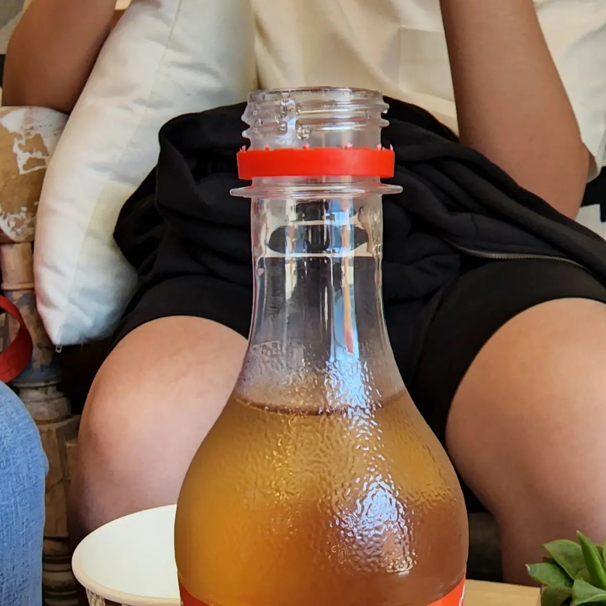 Almdudler