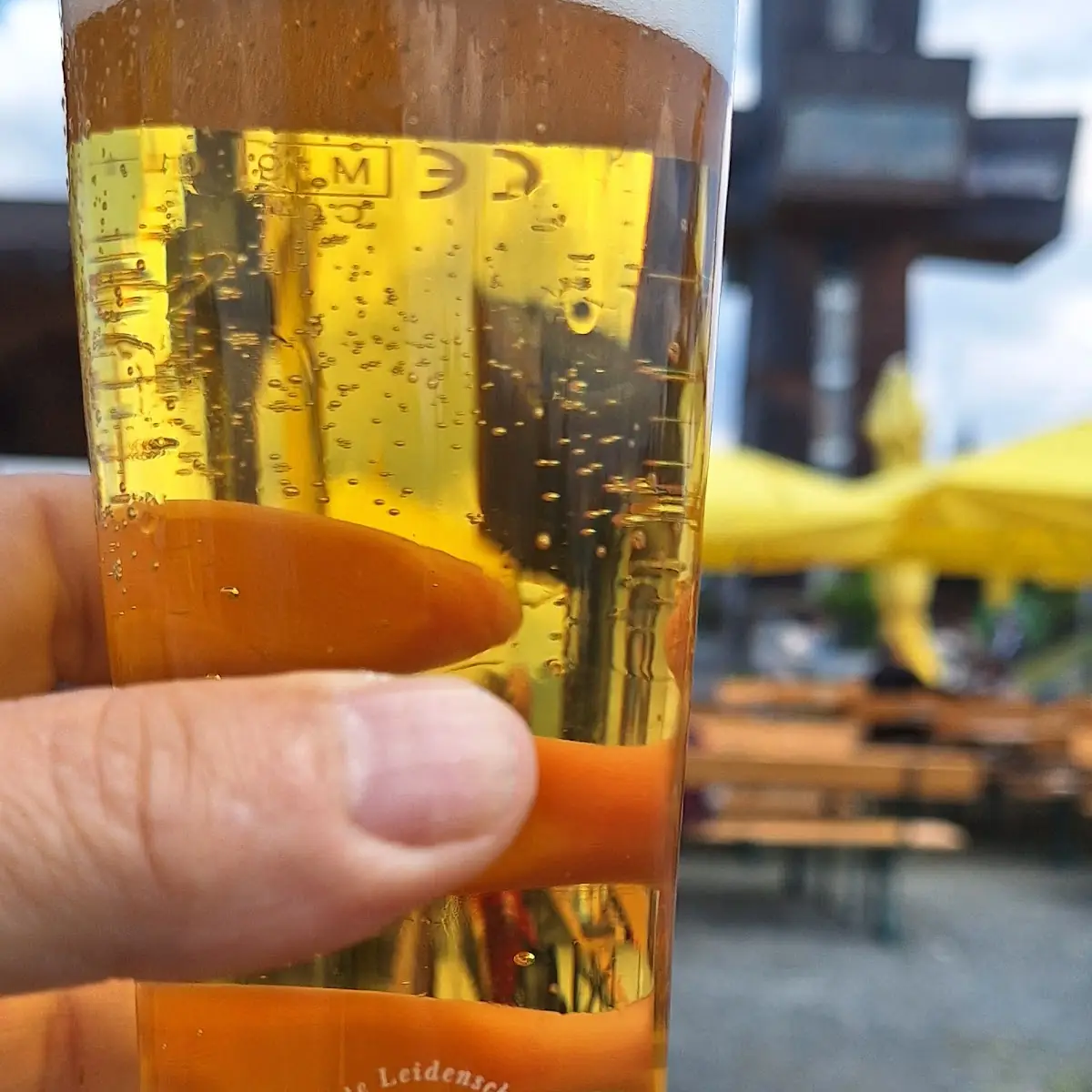 Bier