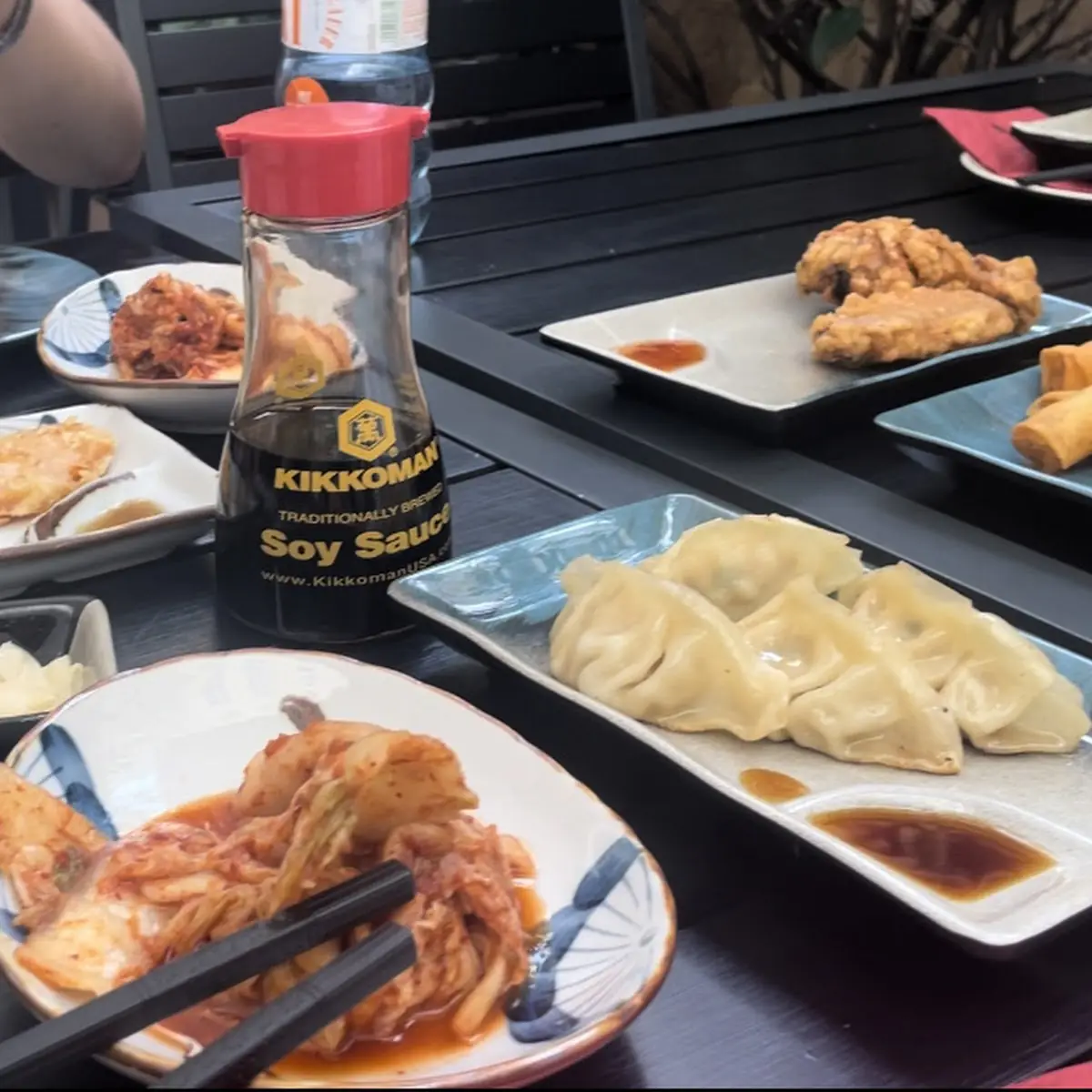 Gyoza Vegetarier