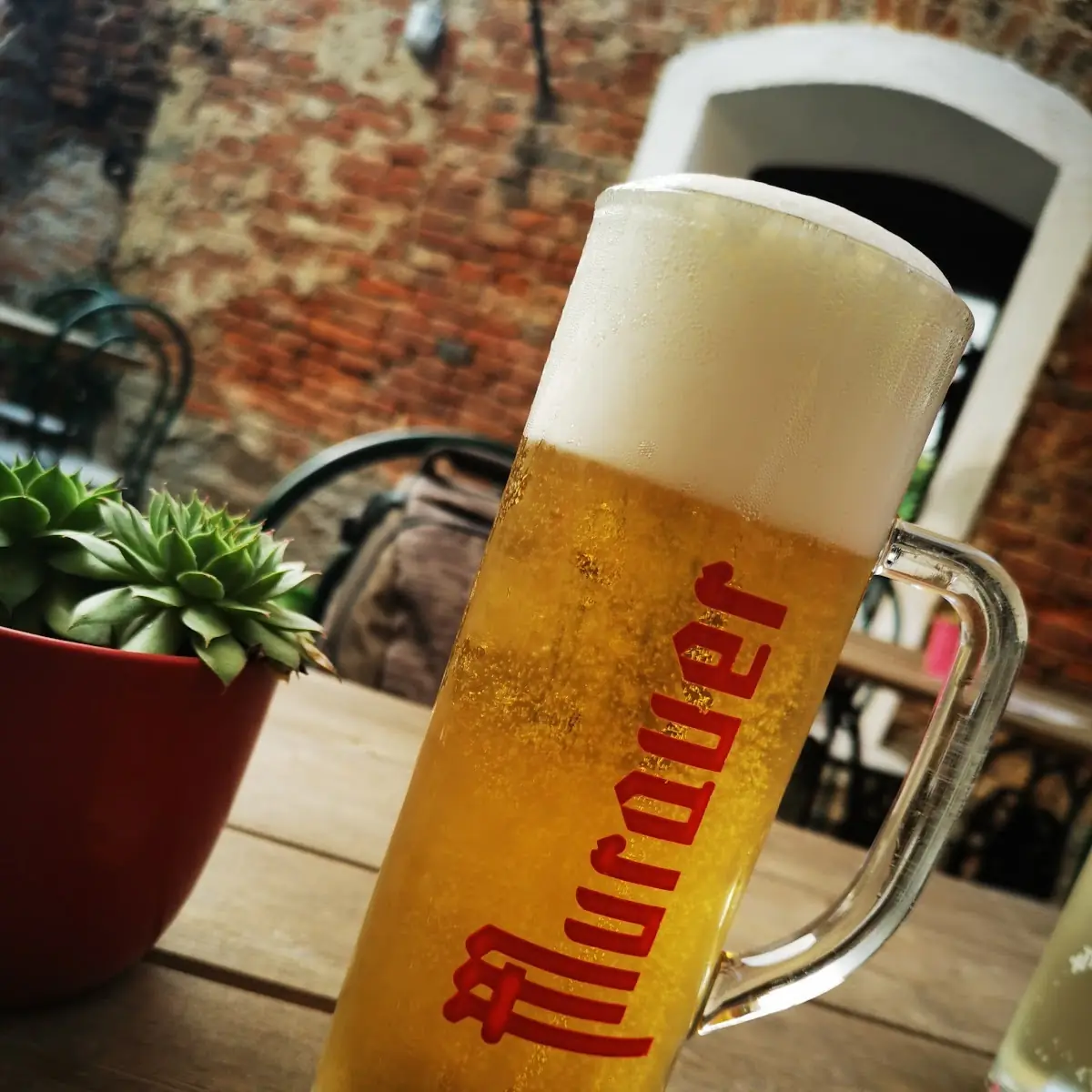 Bier