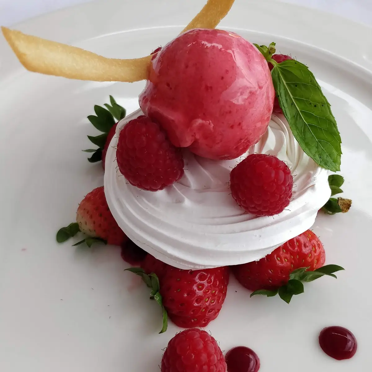 Himbeersorbet