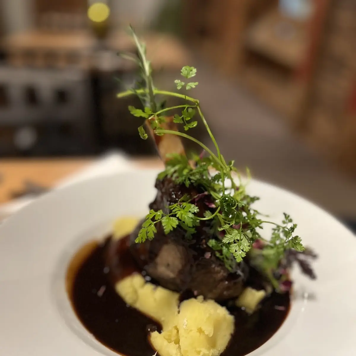 Lamb