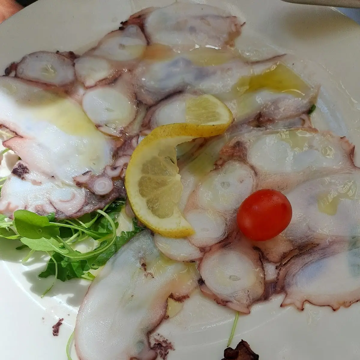 Octopus