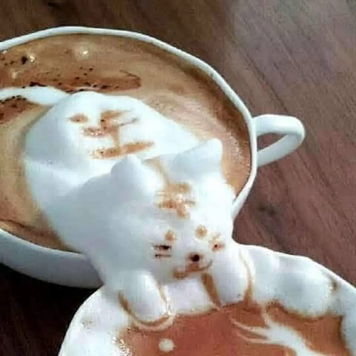 Café