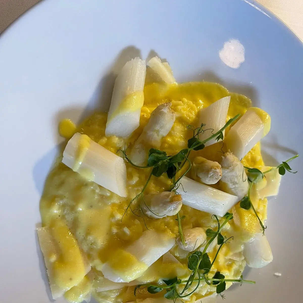 Spargel
