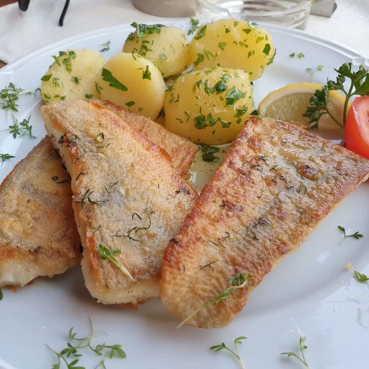 Gegrilltes Zanderfilet Mit Petersilienkartoffeln