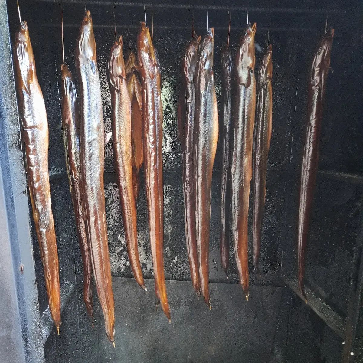 Rächeraal, Steckerlfisch in Abersee
