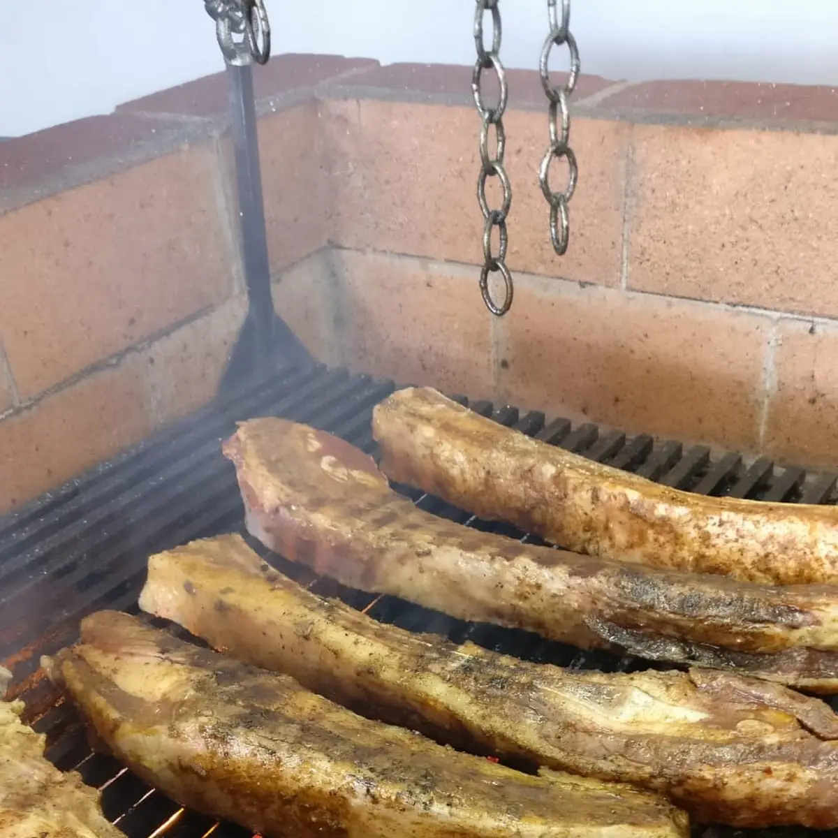 Rinderrippen Vom Holzhohlegrill