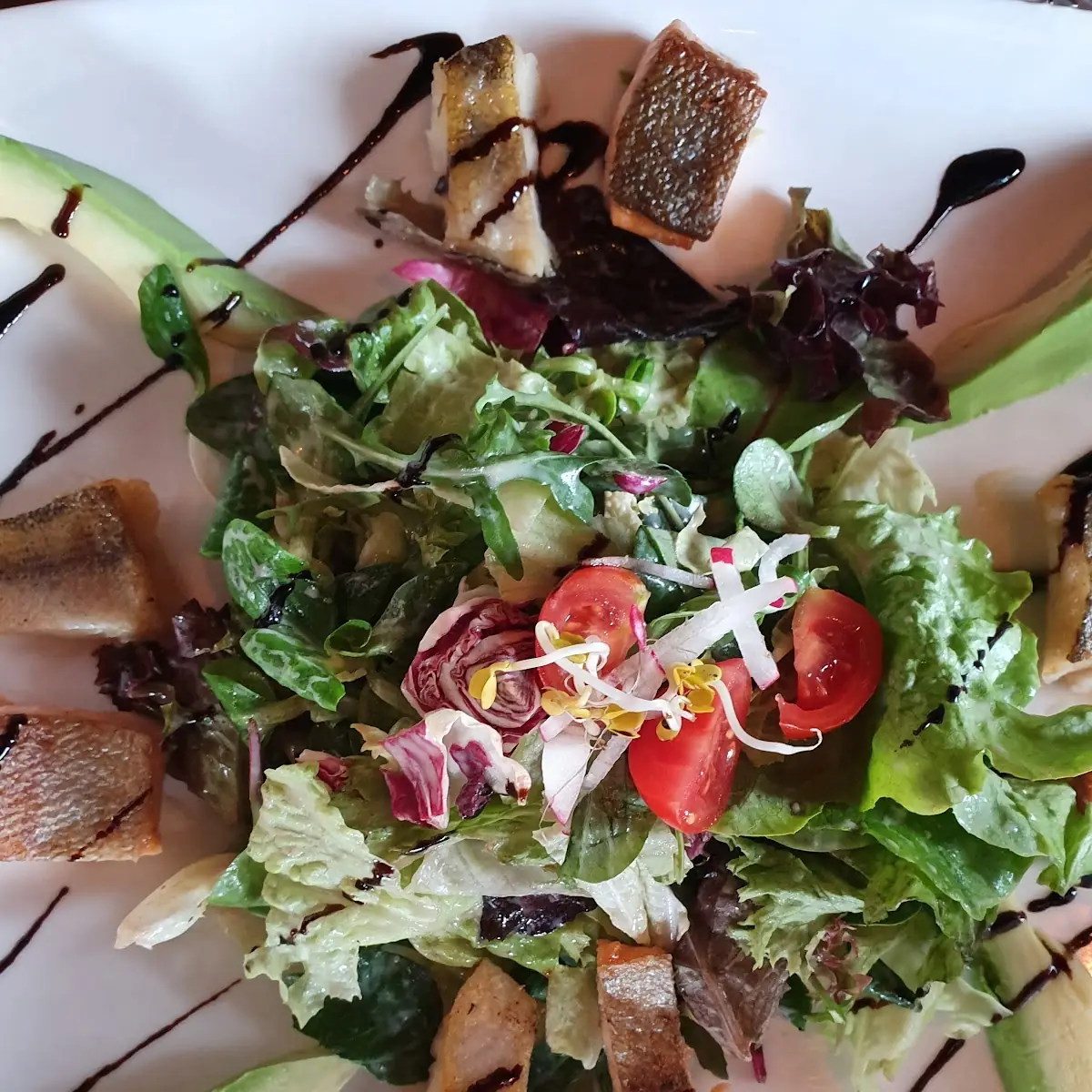 Blattsalat Mit Zander Und Lachs