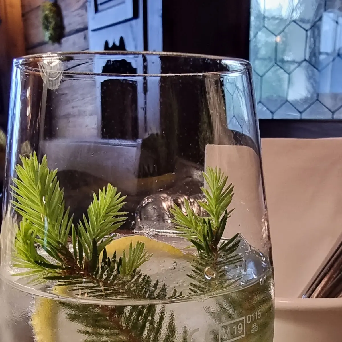 Tannenwipfel-gin Spritz