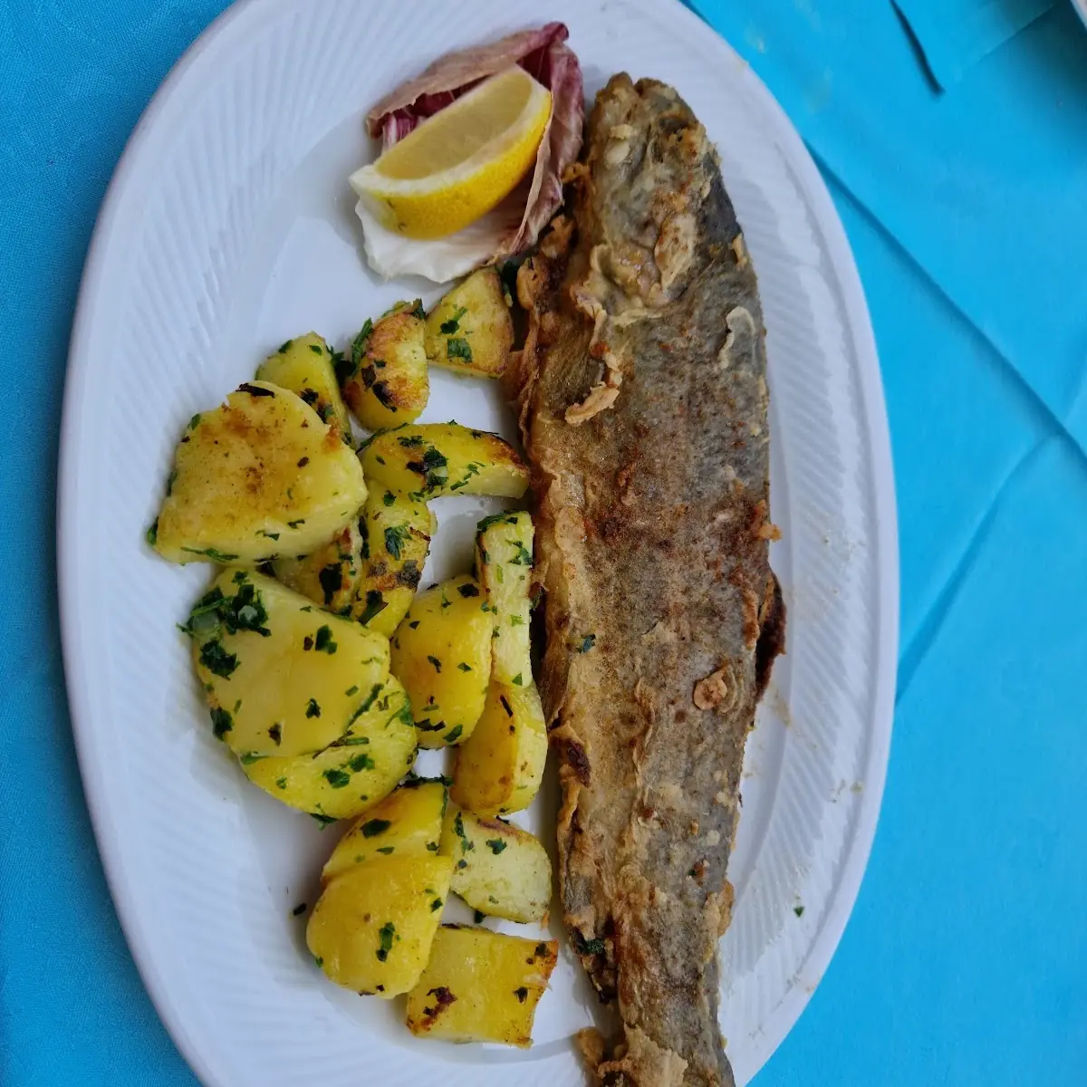 Forelle Gebraten Mit Salat