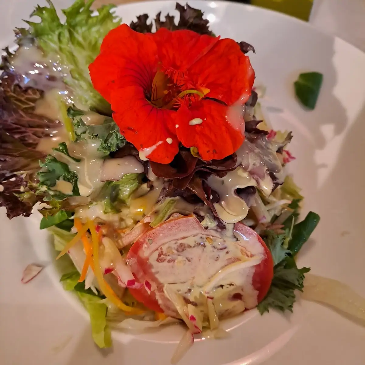 Gemischter Salat