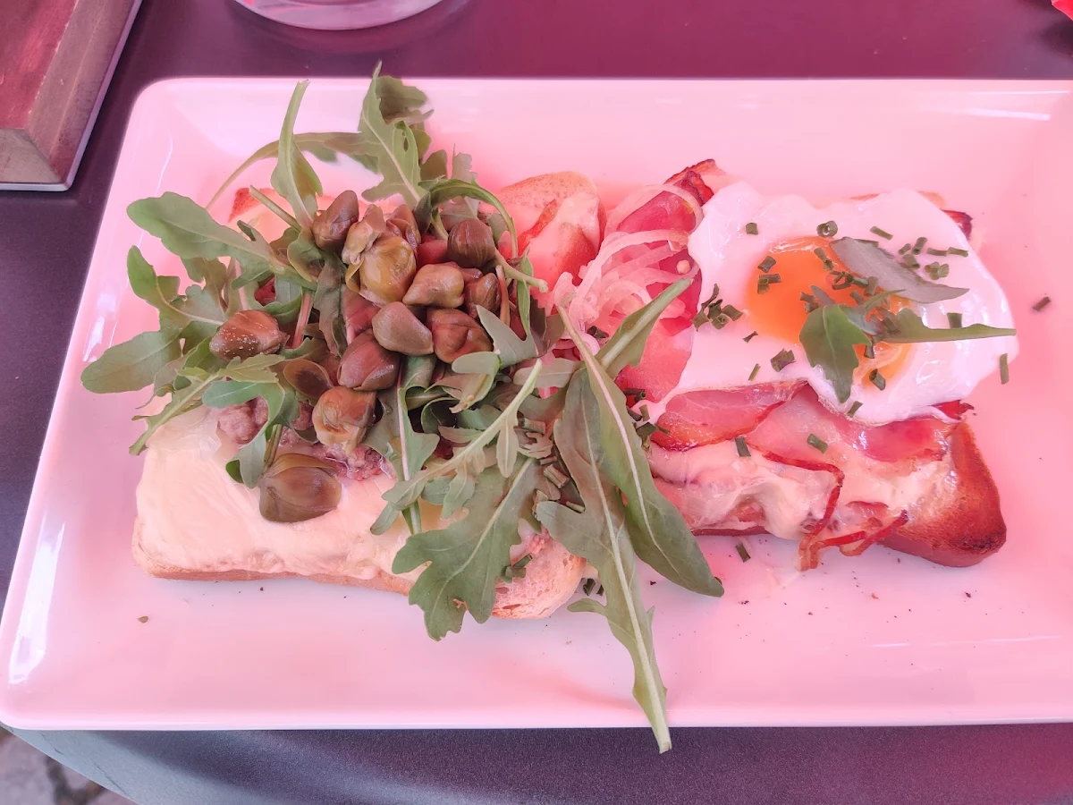 Thunfisch Toast Rustikal Toast
