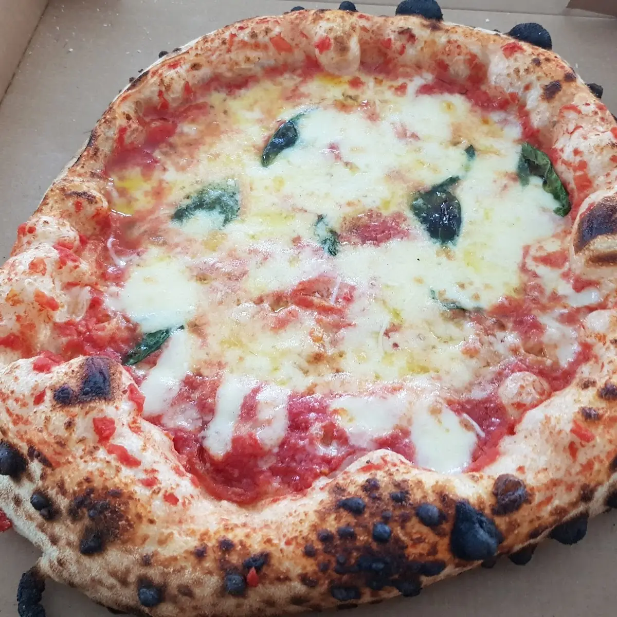 Pizza Margherita