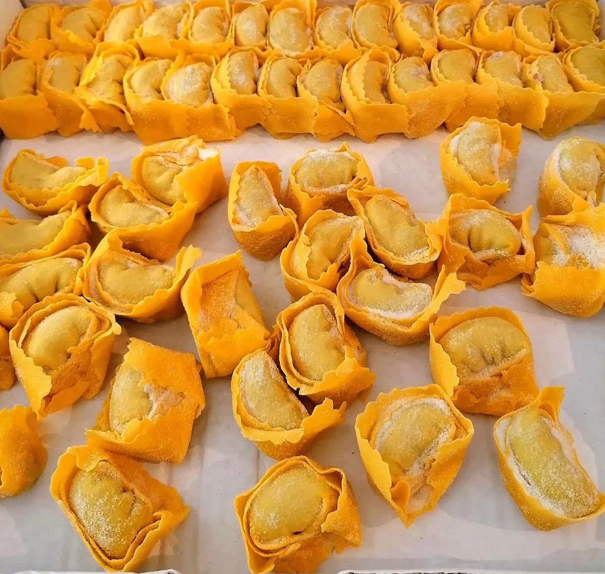 Frische Handgemachte Tortelloni