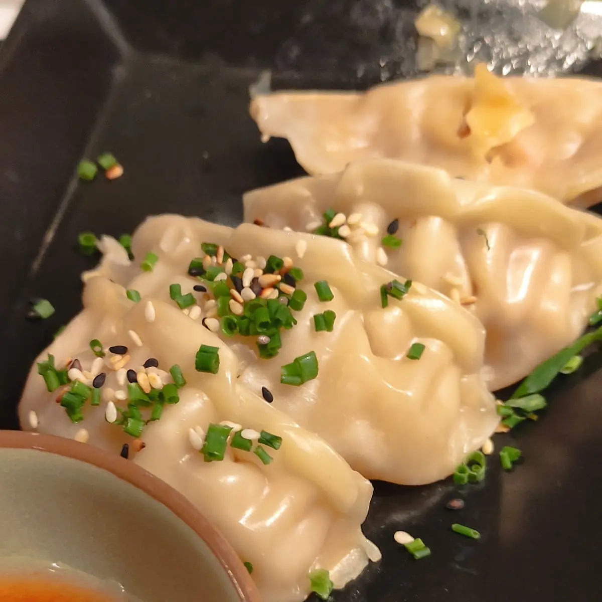 Homemade Gyoza