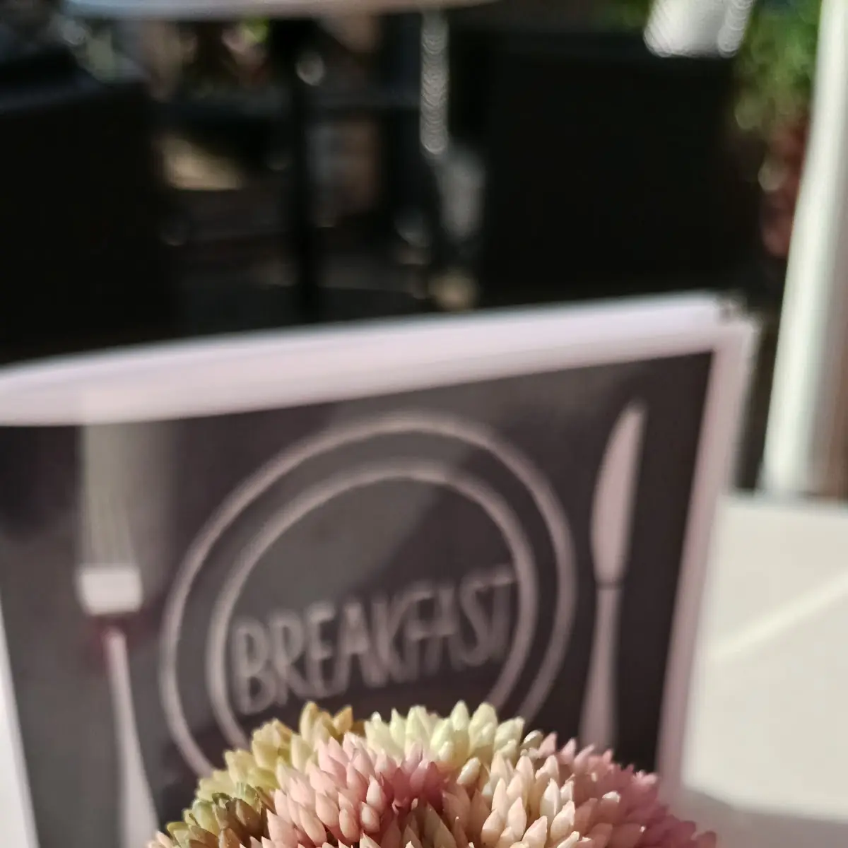 Blume Hauswurz
