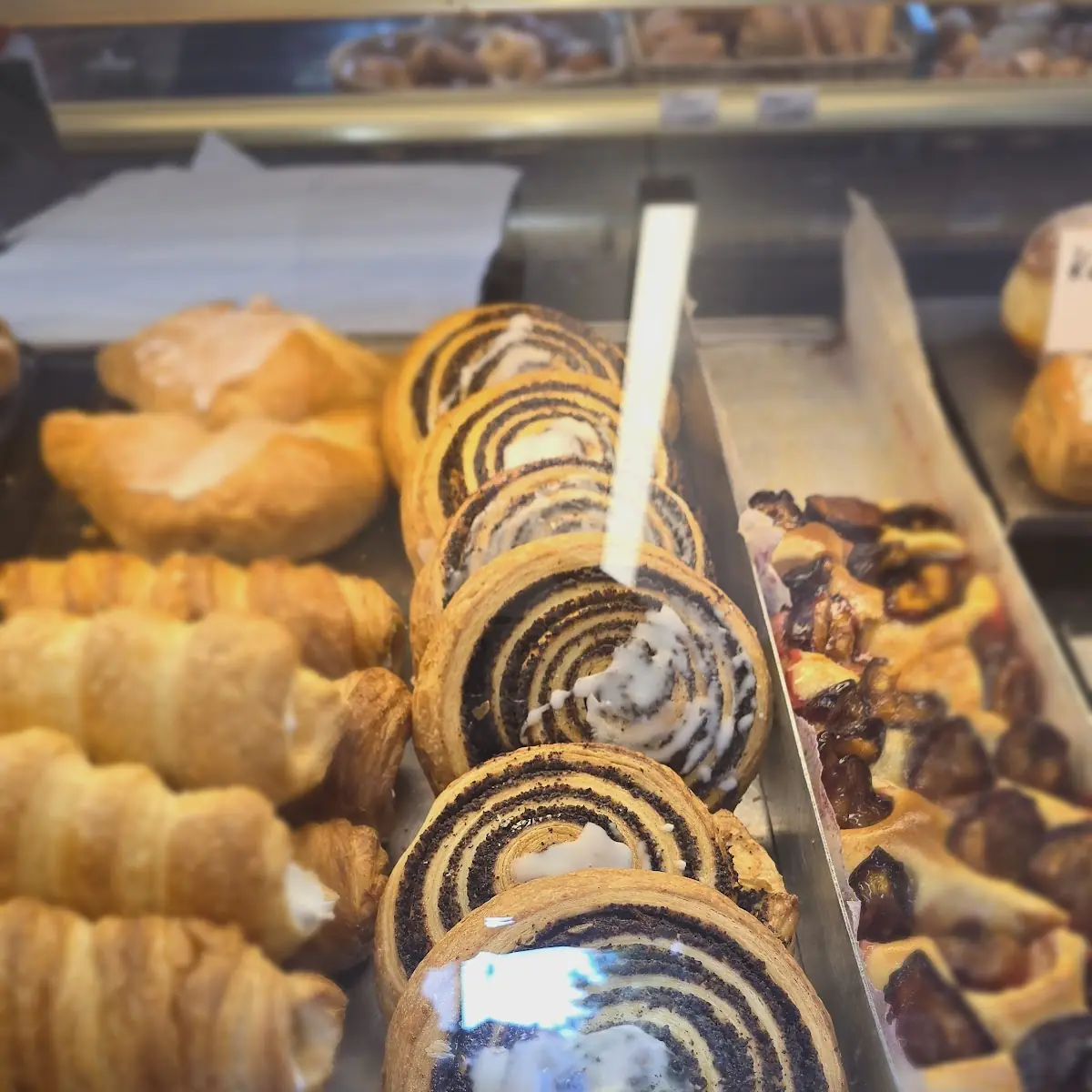 Mohnschnecke