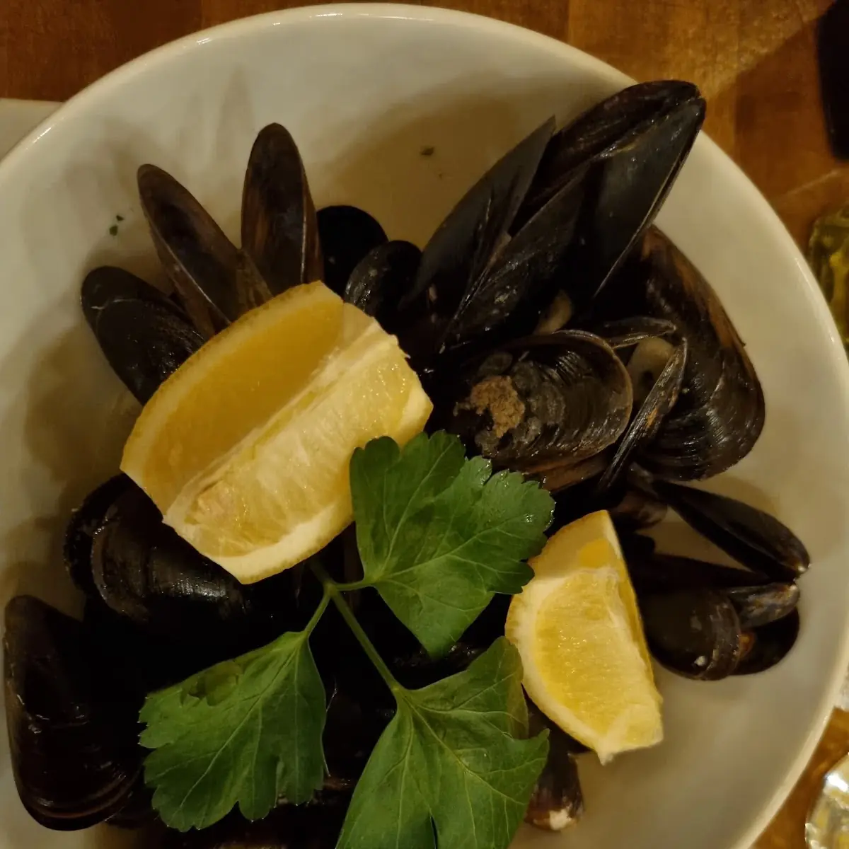 Vinus Muscheln