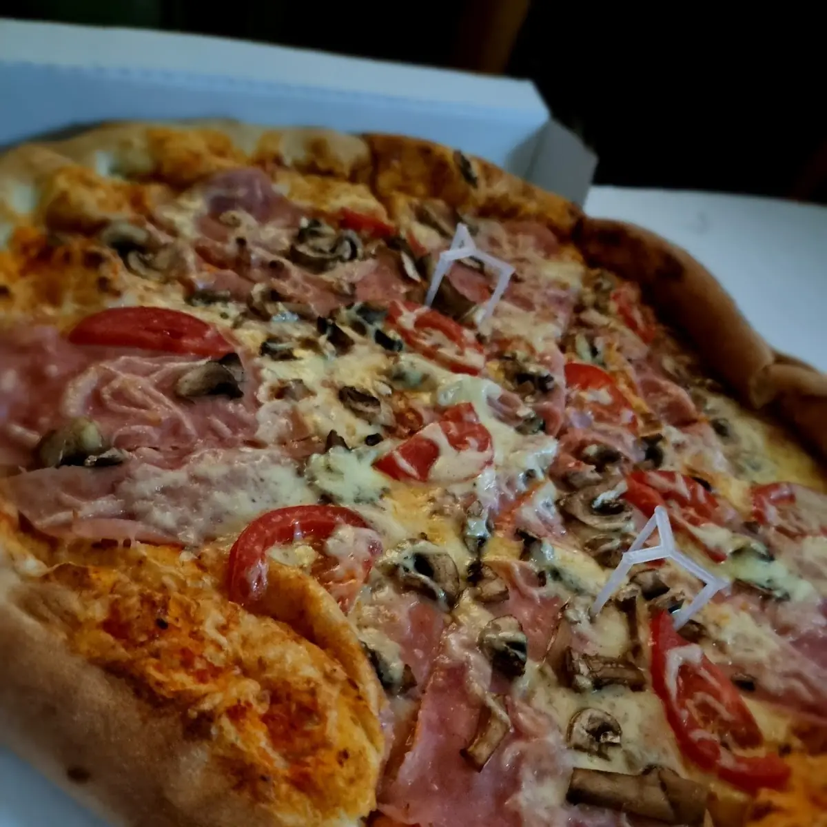 Cardinale Mit Champignons Und Ei