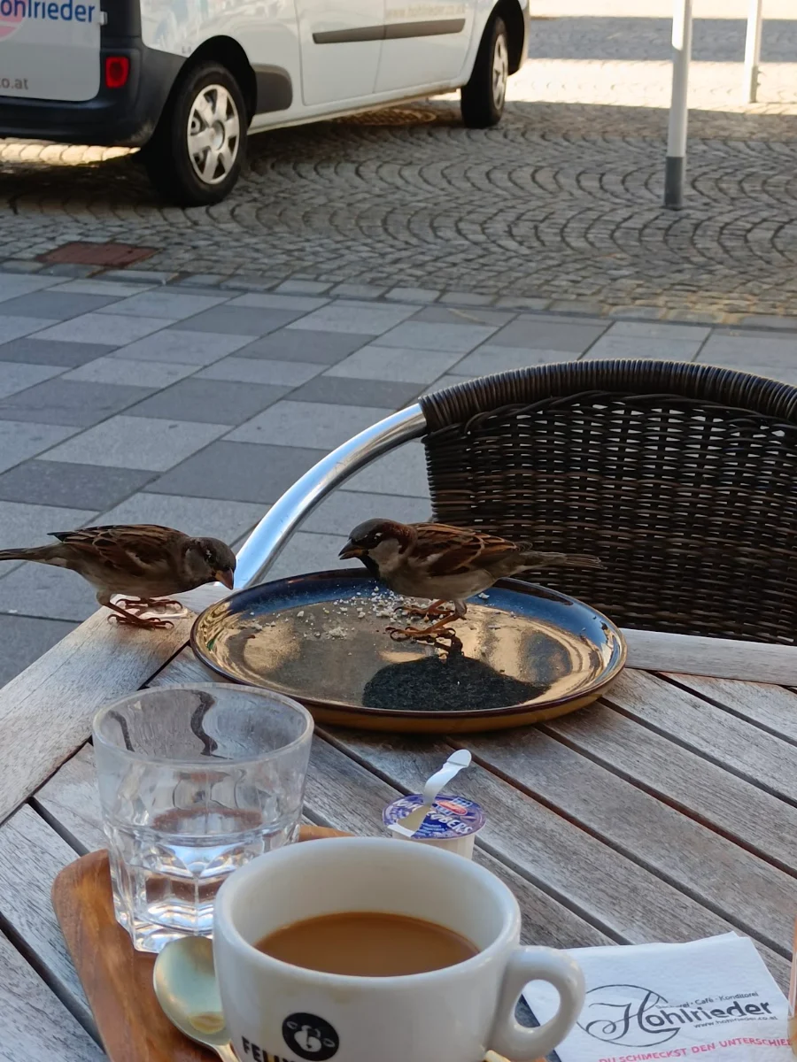 Cafe