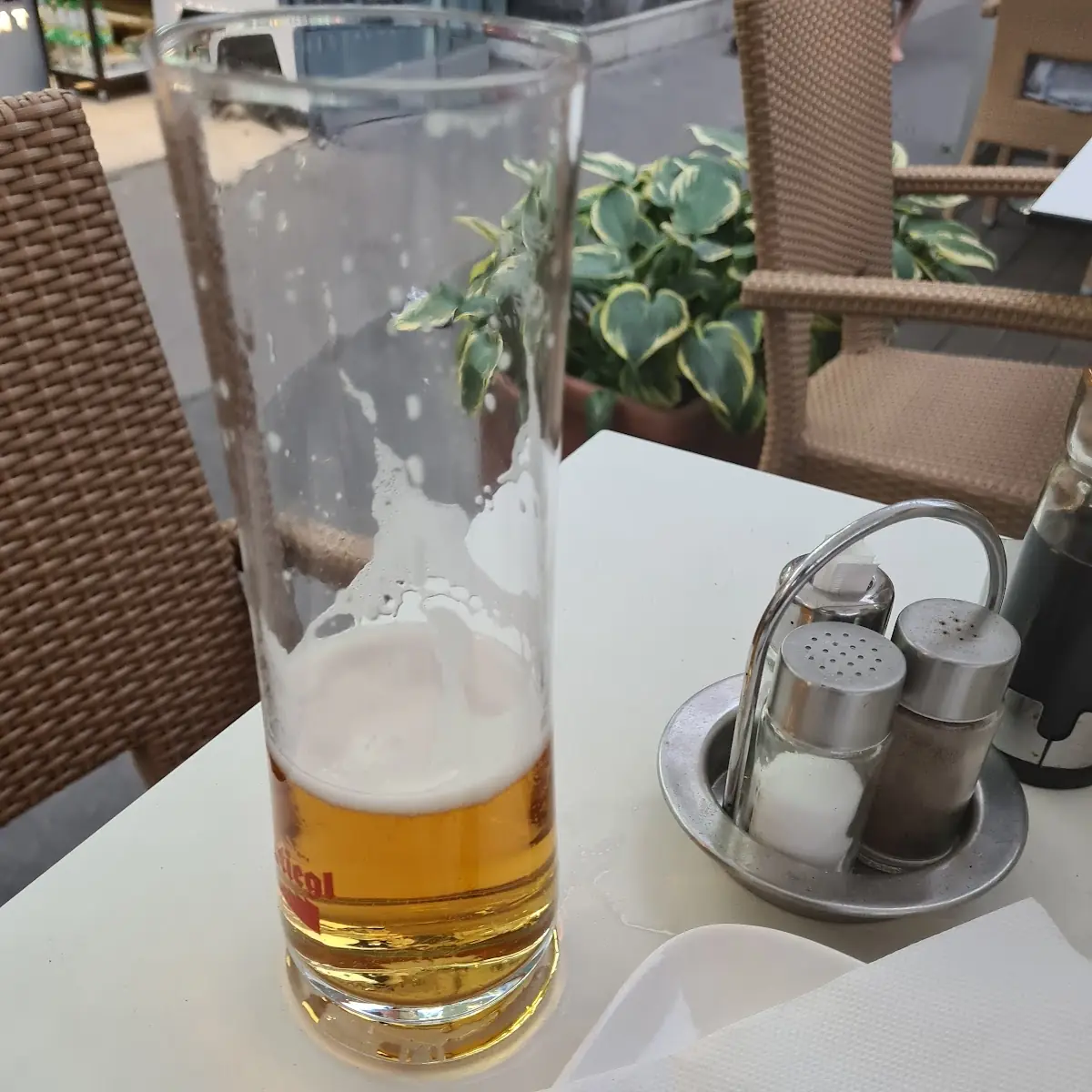 Bier