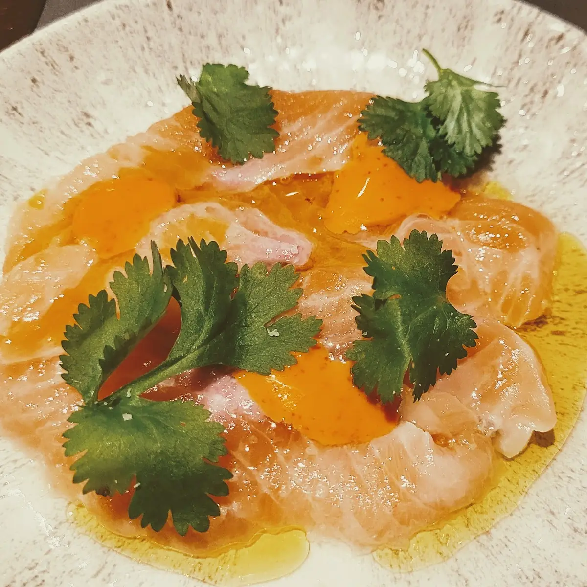 Seeviche Ceviche Vom Ausseer Saibling Mit Zitrone Olivenöl Und Chili