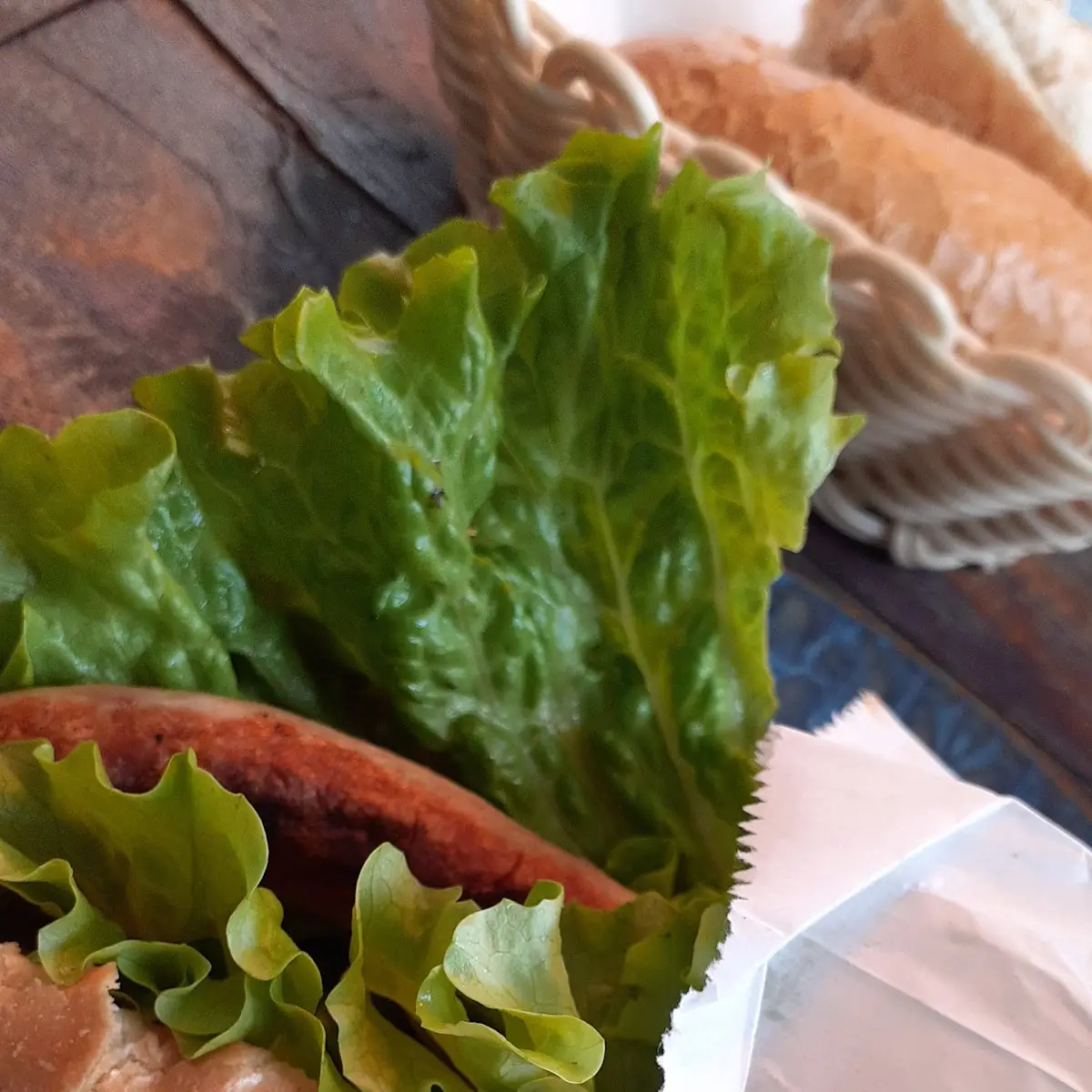 Hotdog