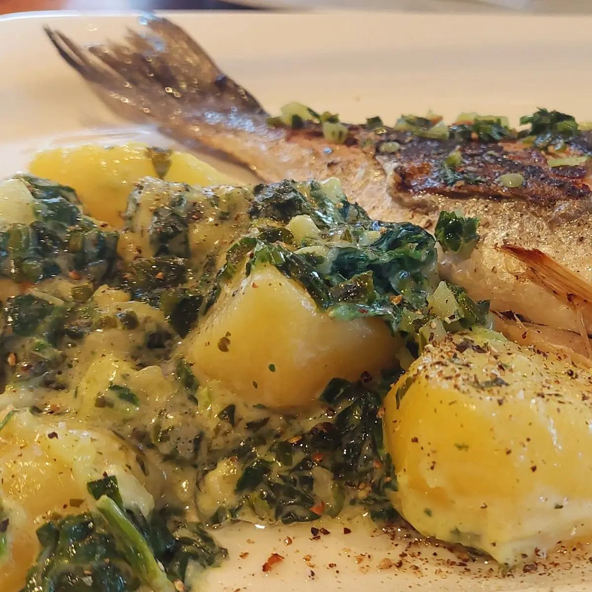Sea Bass