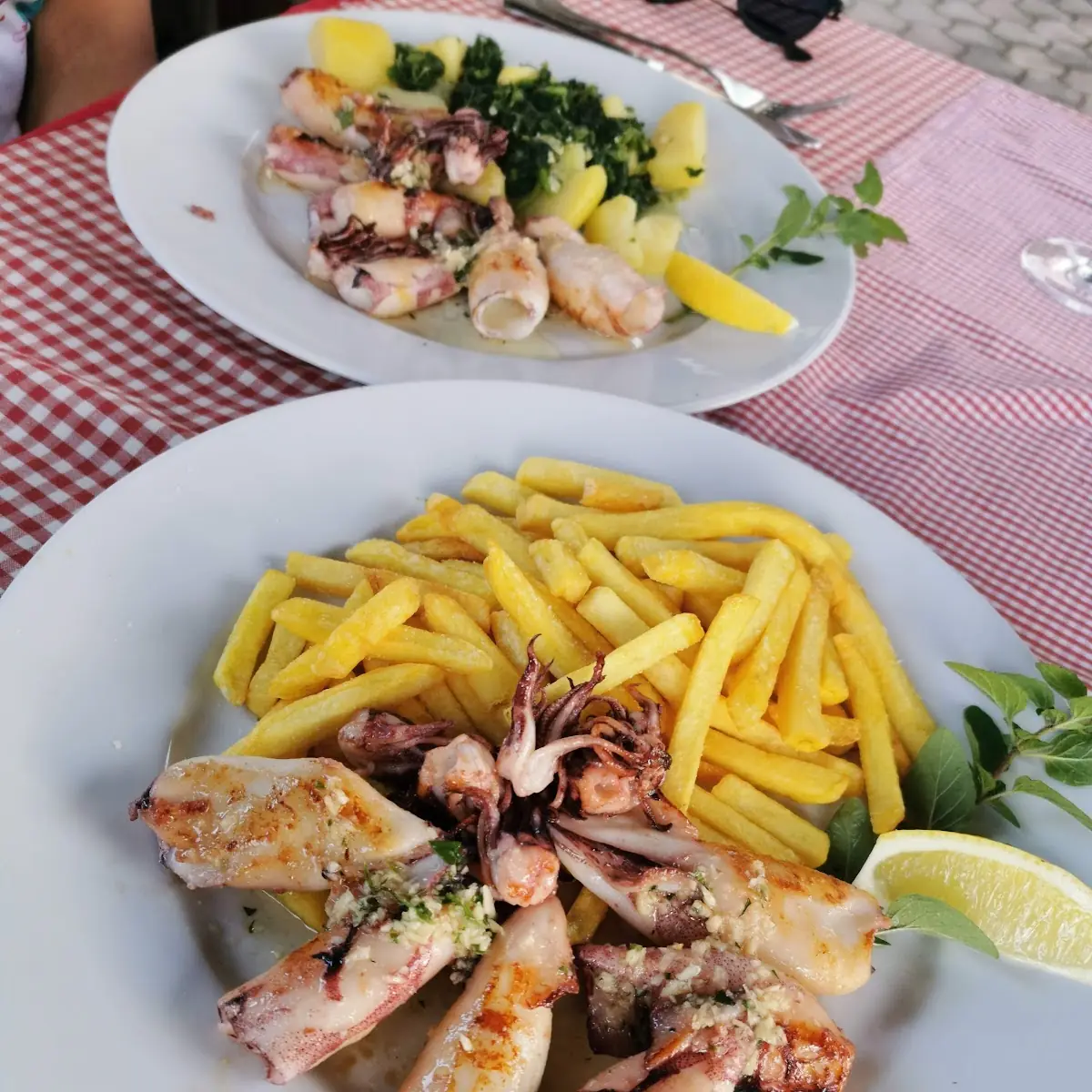 Calamari
