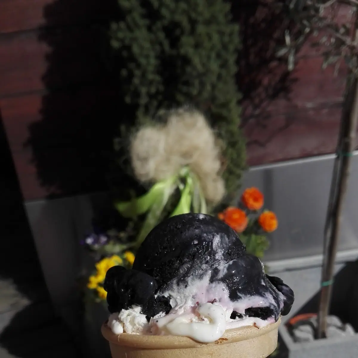 Kokos Eis