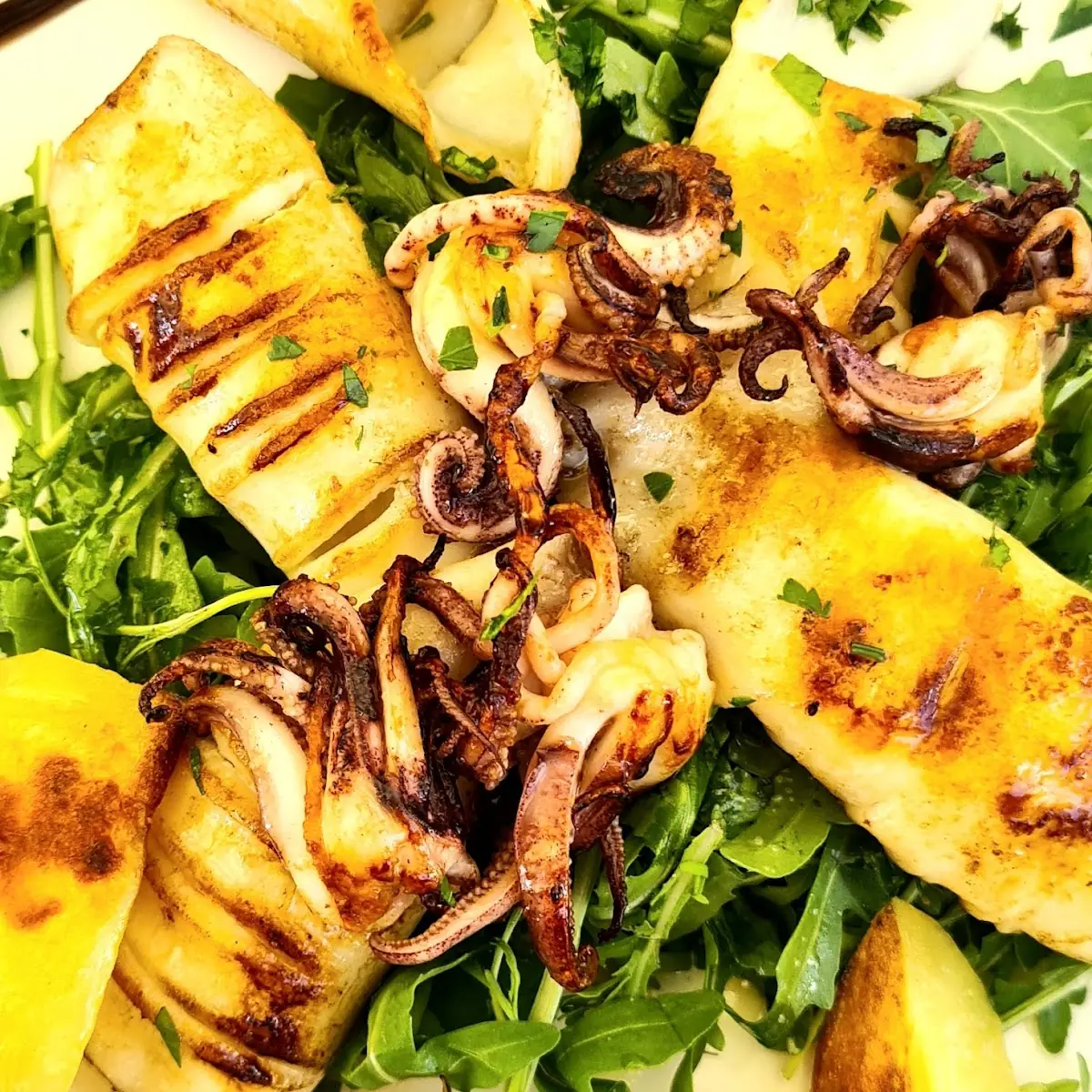 Gegrillte Calamari