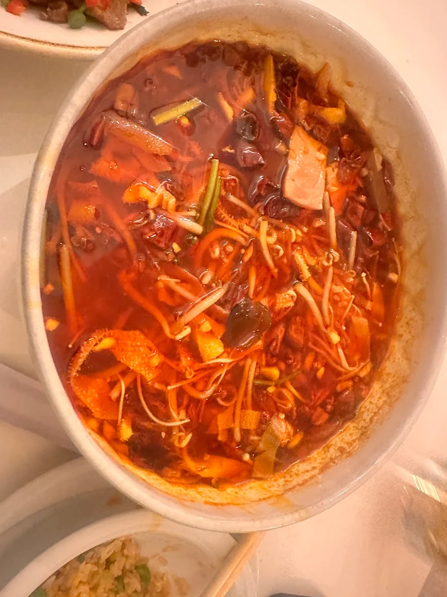Pikant-säuerliche Suppe