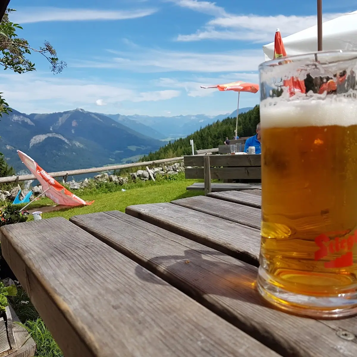 Bier