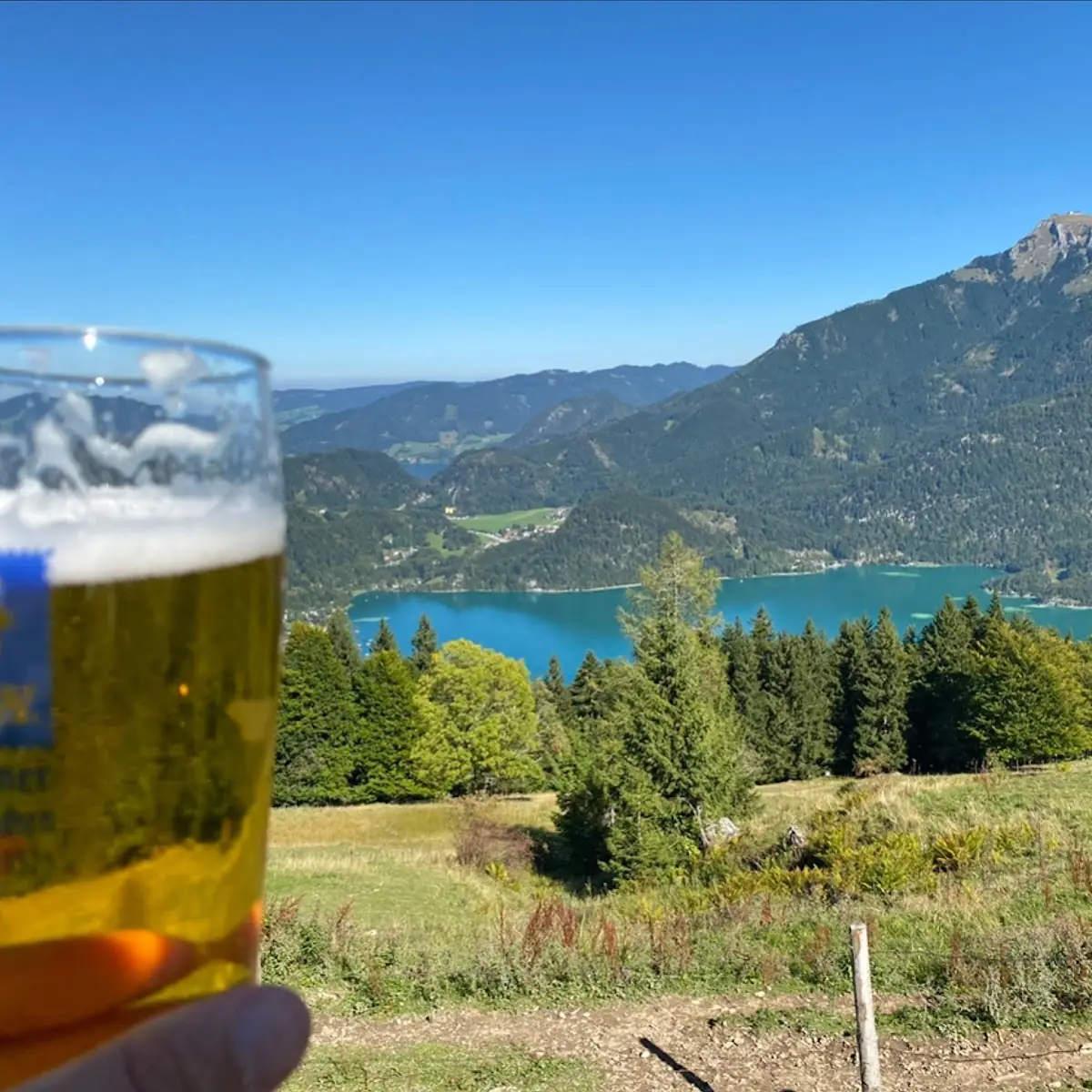 Pivo