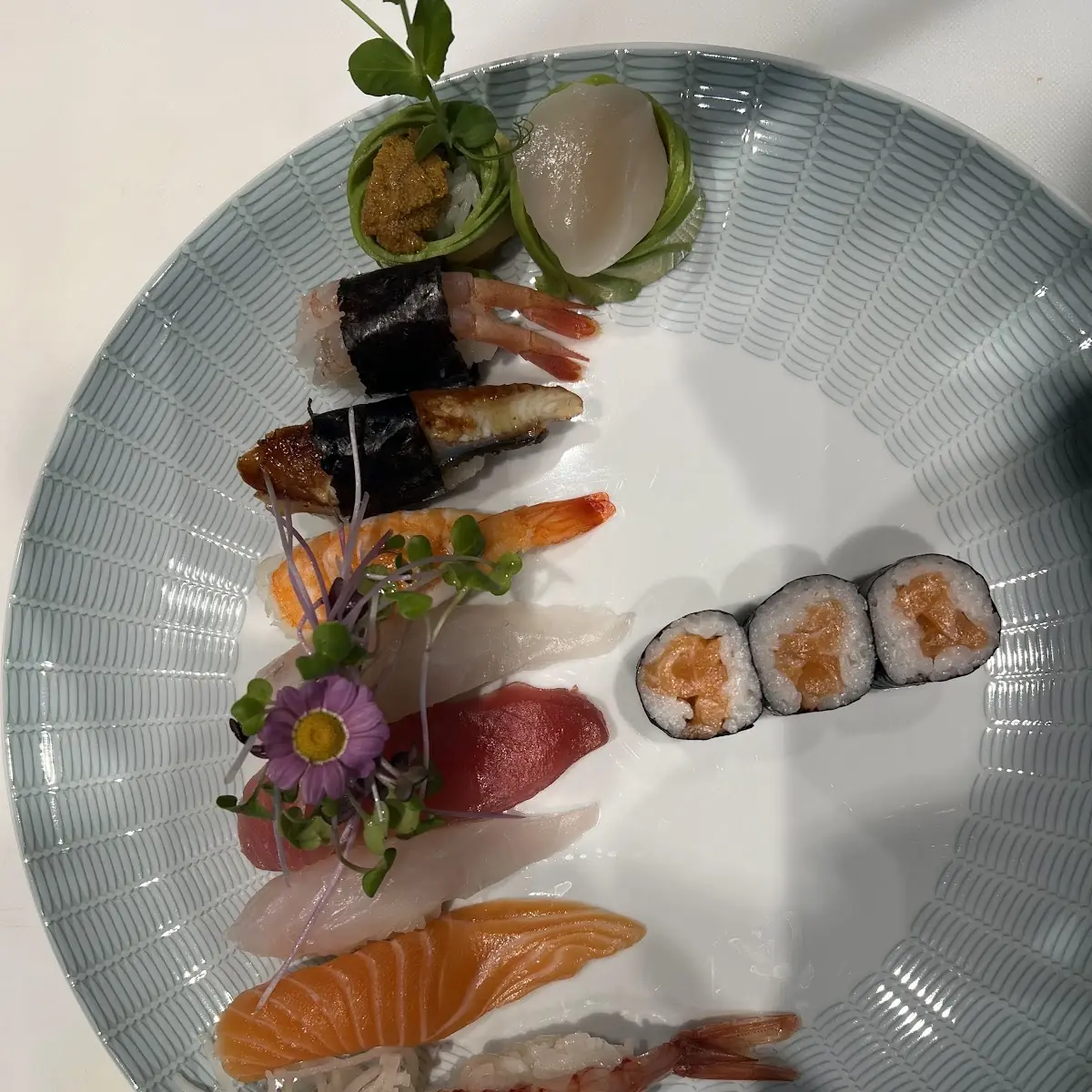 Sashimi Klein