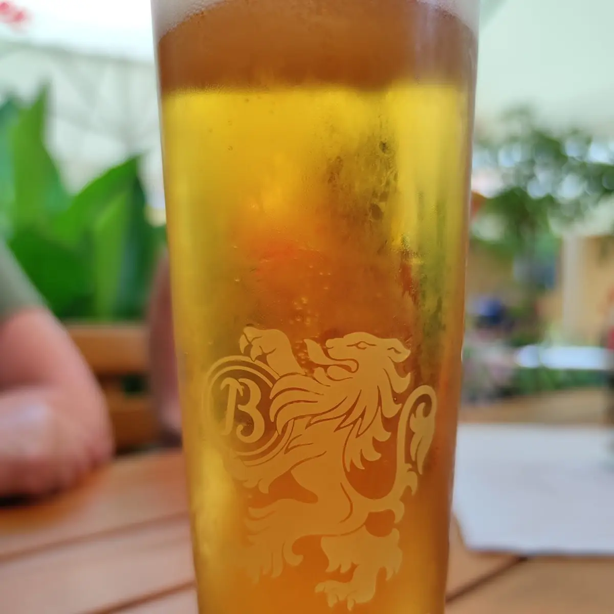 Bier