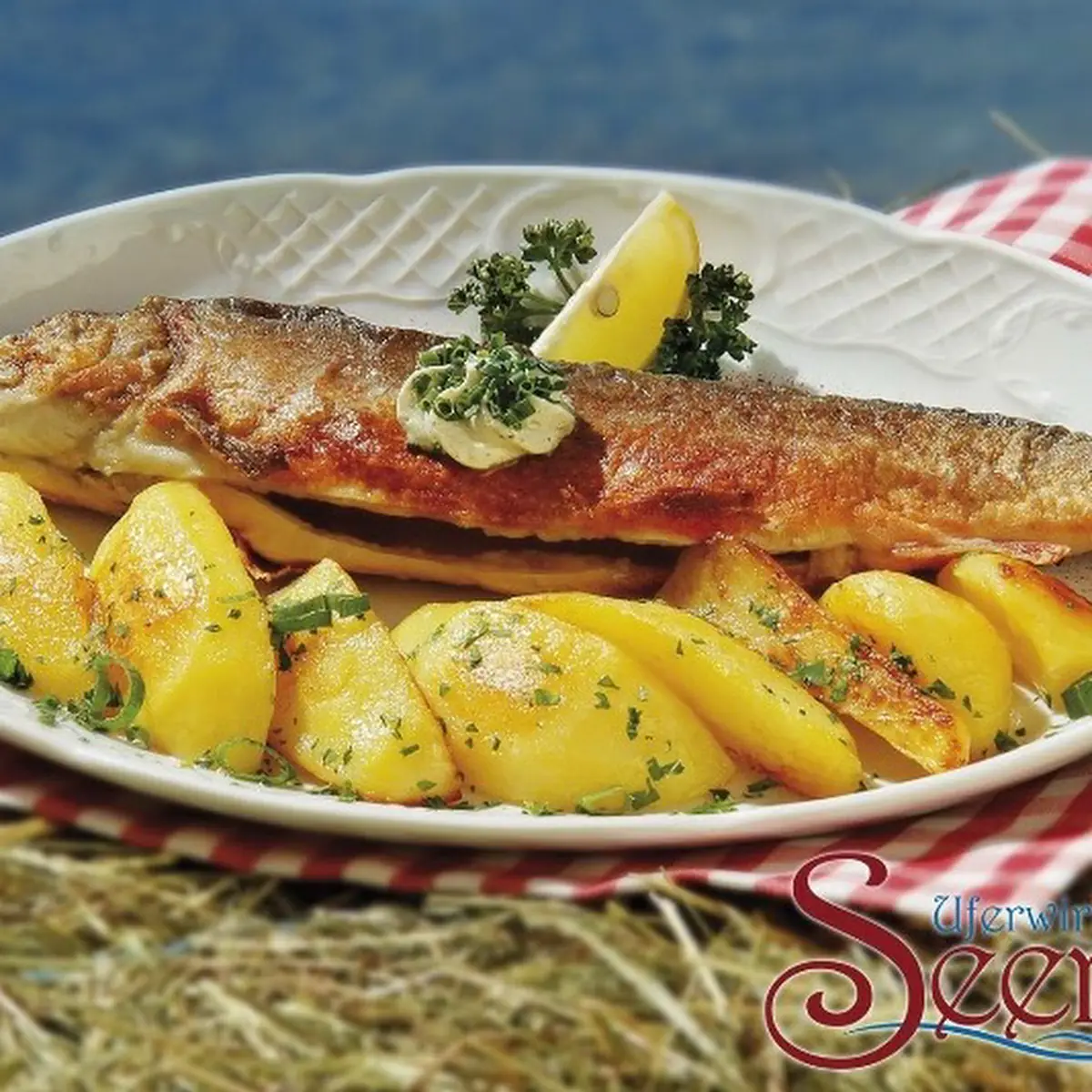 Fresh-Caught Trout Served with Pan-Fried Potatoes and Salad