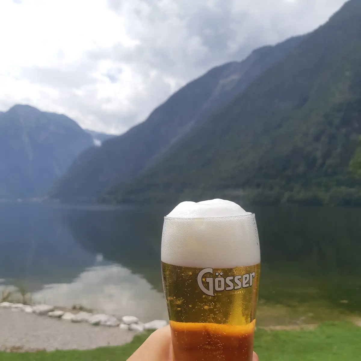 Pivo