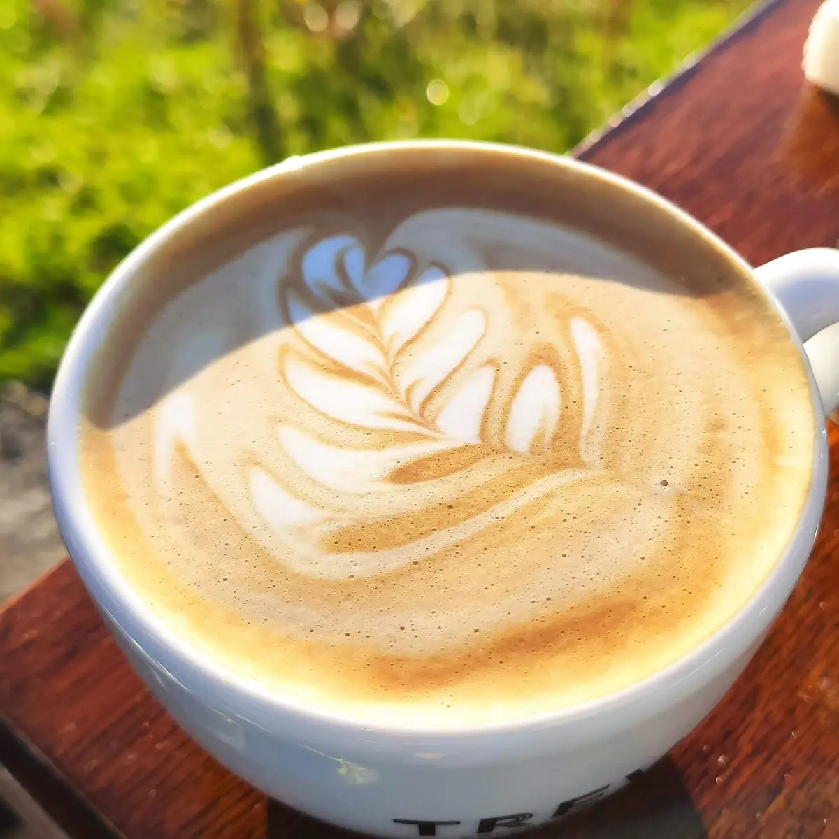 Cappuccino