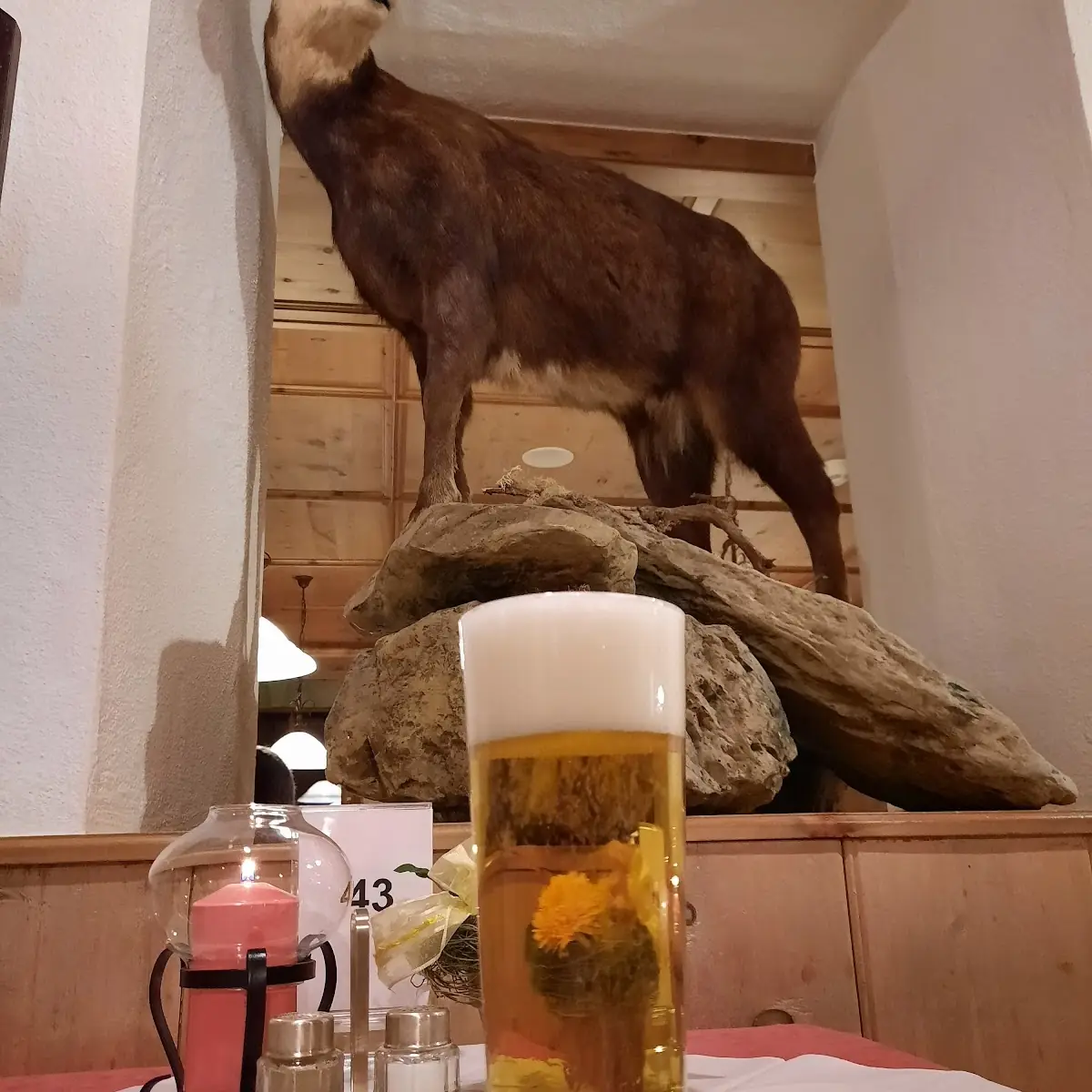 Bier