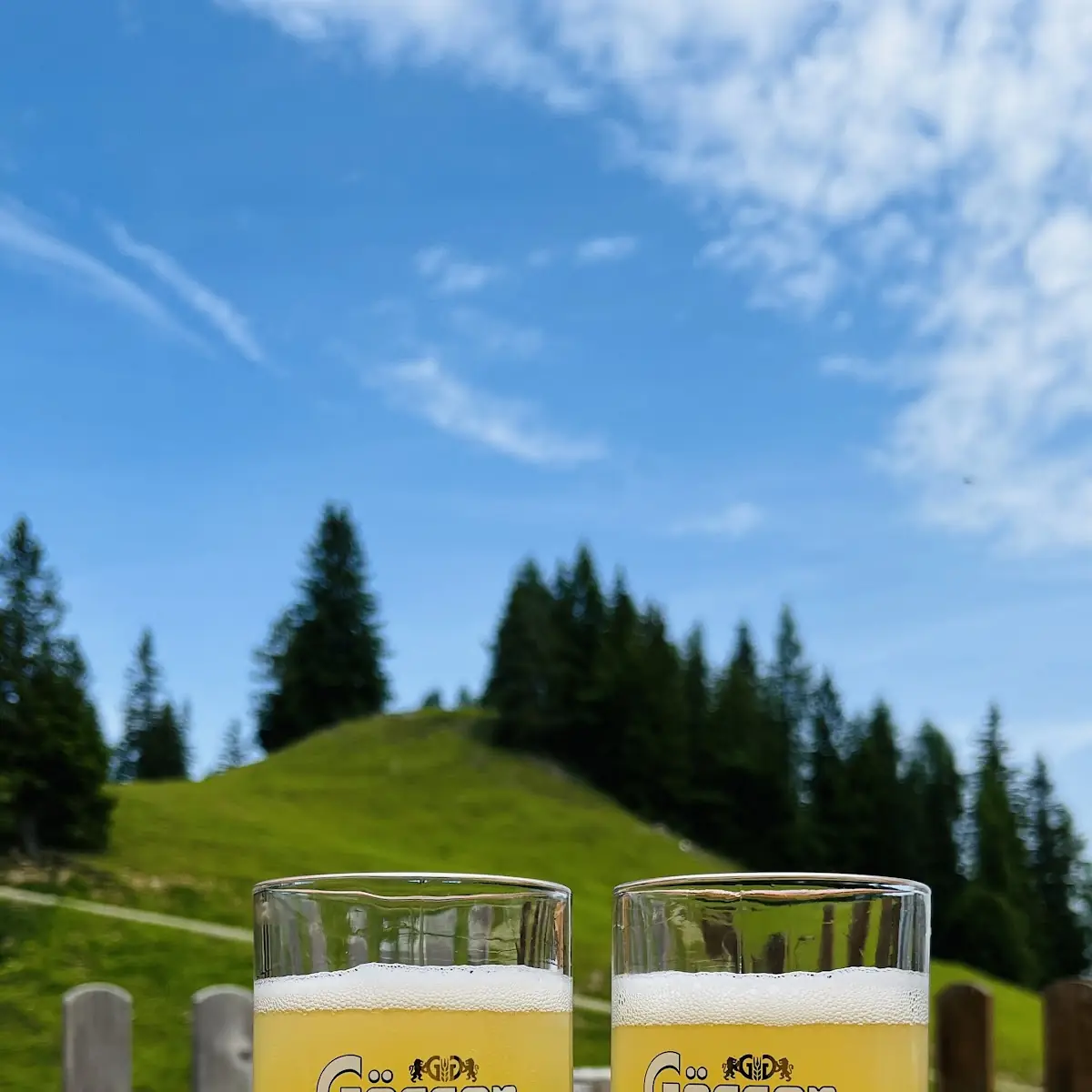 Gösser Natur Radler