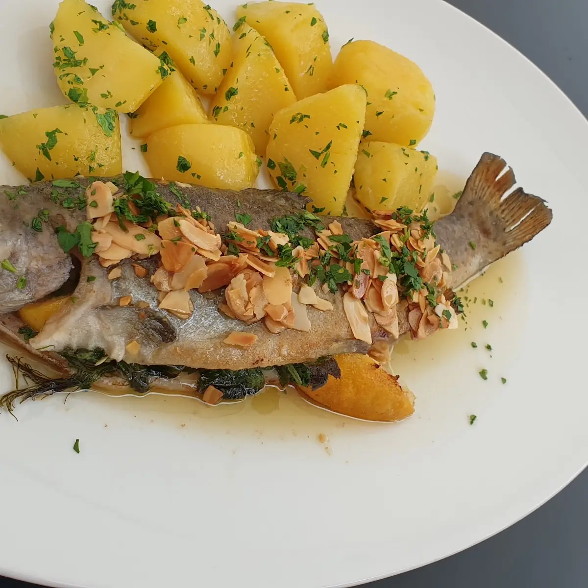 Fisch