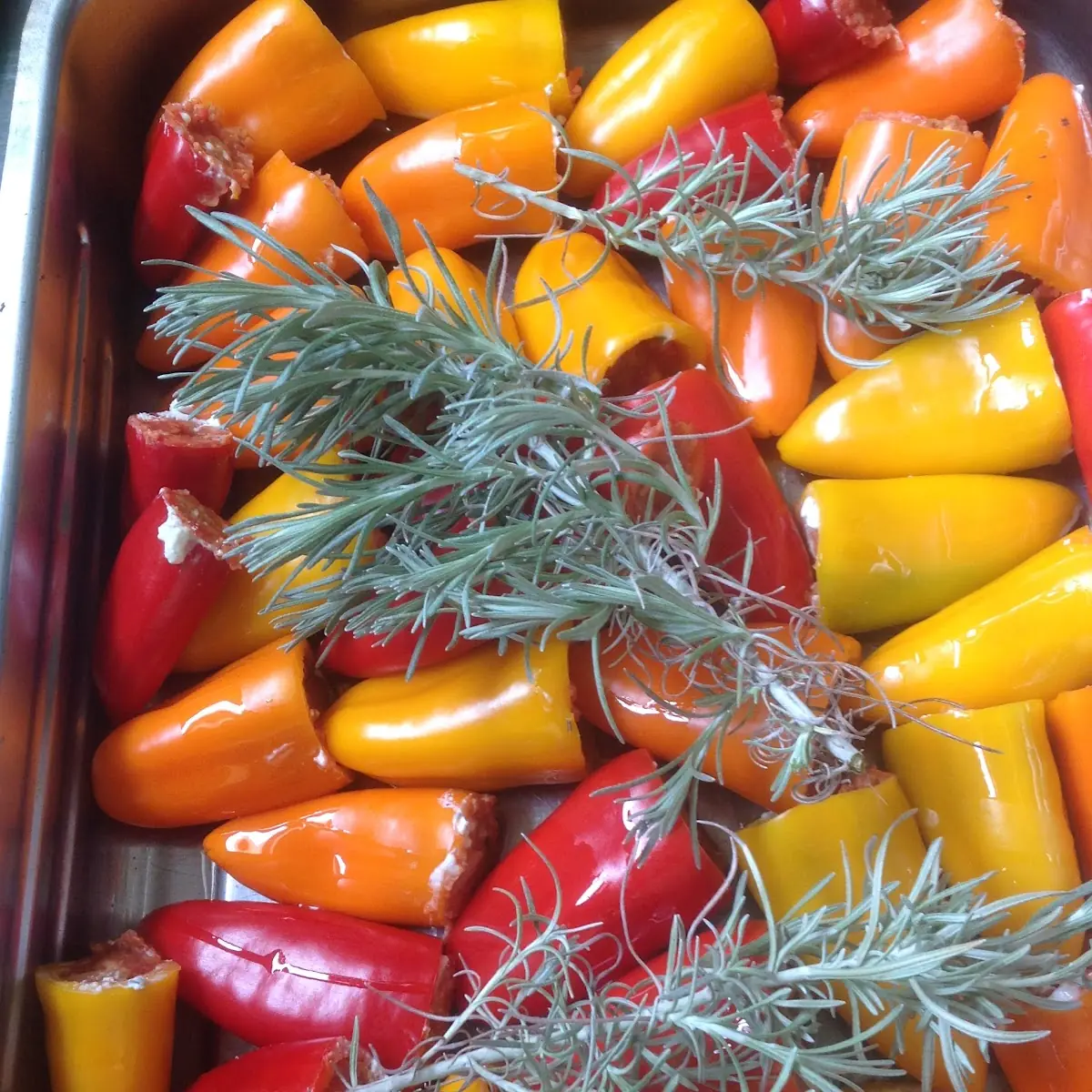 Gegrillte Gefüllte Paprika