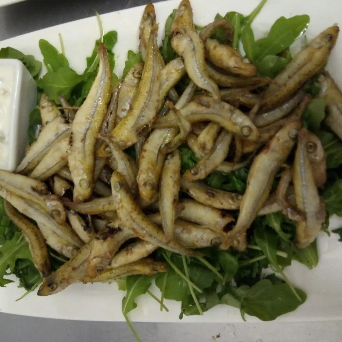 Gegrillte Sardinen