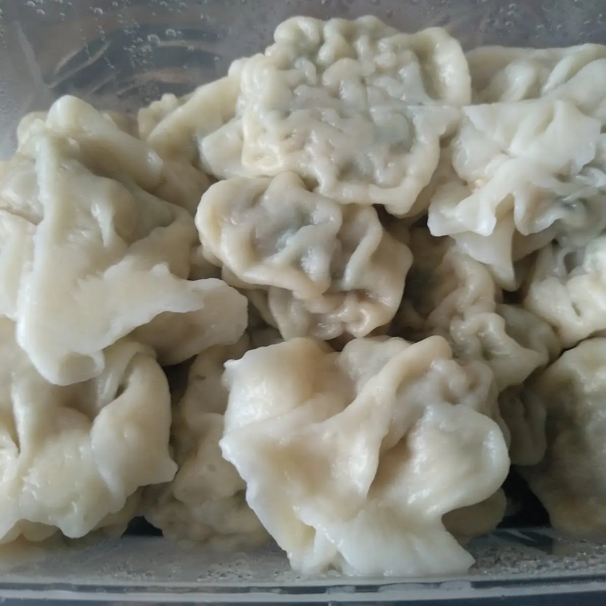 12 Stück Gyoza Mit Fleischfüllung