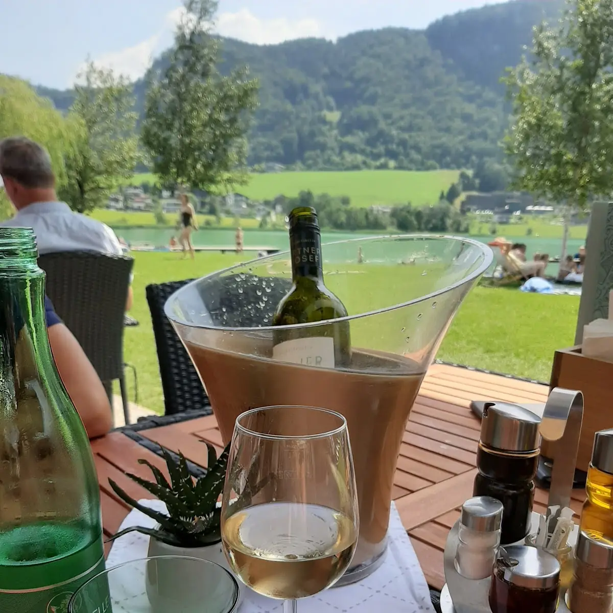 Grüner Veltliner